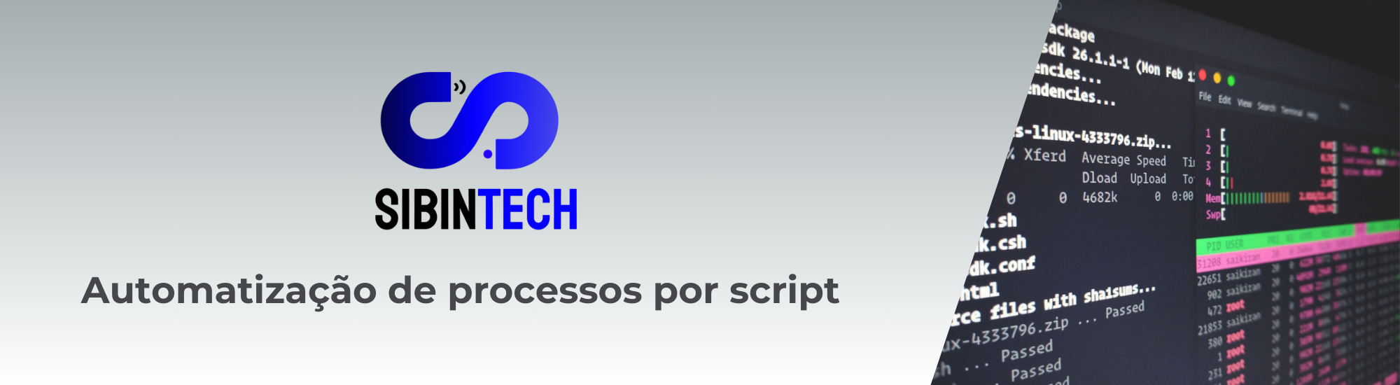 Banner Sibintech